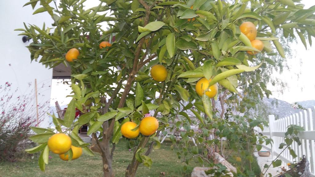 Masal Tatil Evi Selimiye  Bagian luar foto